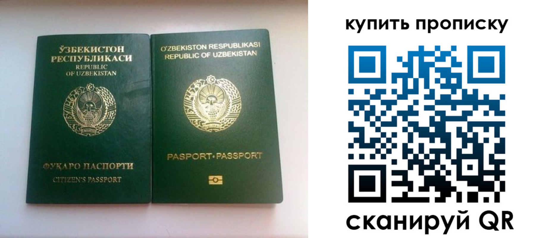 прописка в квартире в Боготоле